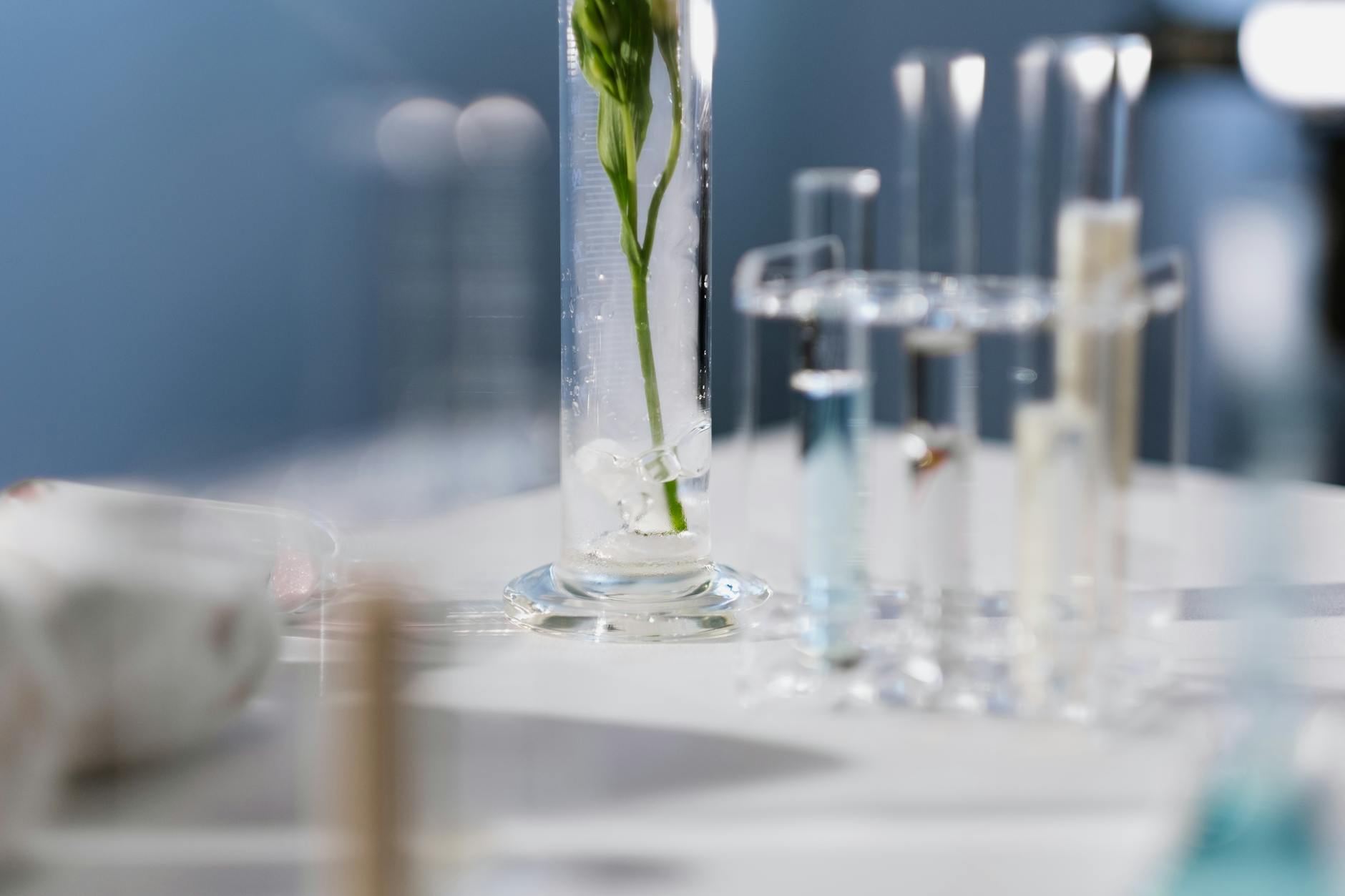 Test tubes and a plant stem in a laboratory environment, highlighting scientific research into skincare ingredients